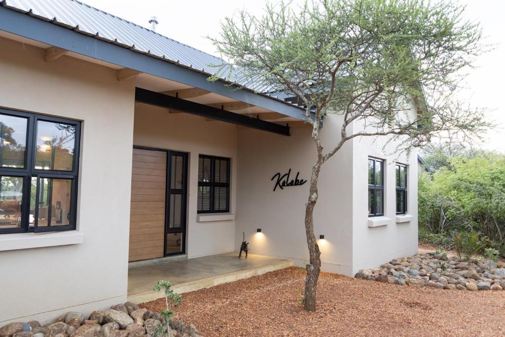 a house with a tree in front of it at Villa Kolobe in Hoedspruit