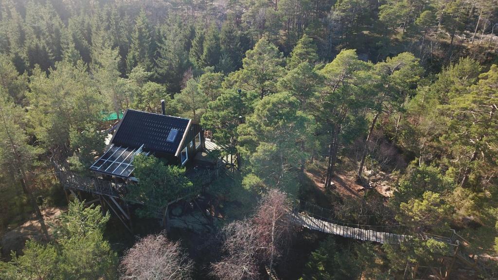 an aerial view of a tree house in the forest at Gluba Treetop Cabins Furunåla in Harkmark