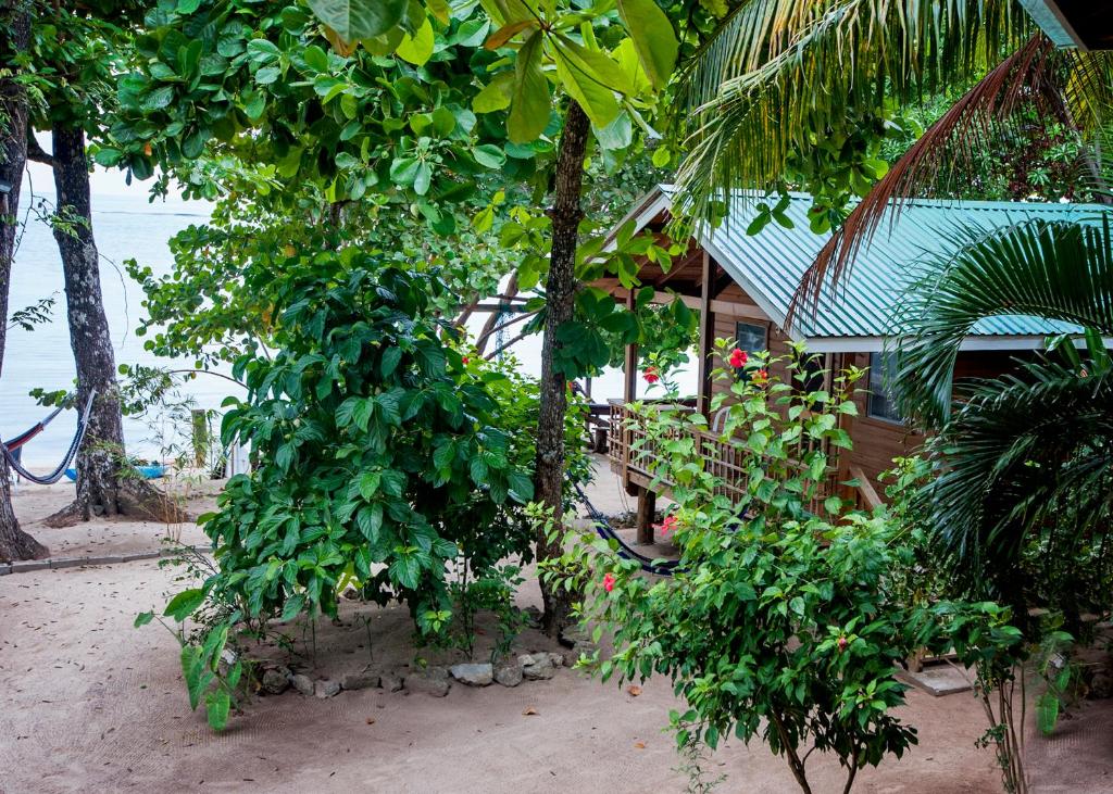 Zahrada ubytování Blue Island Divers Casita Azul