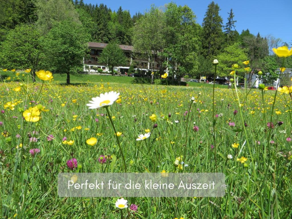 a field of flowers in front of a building at Hotel Ruchti - Zeit für mich in Füssen