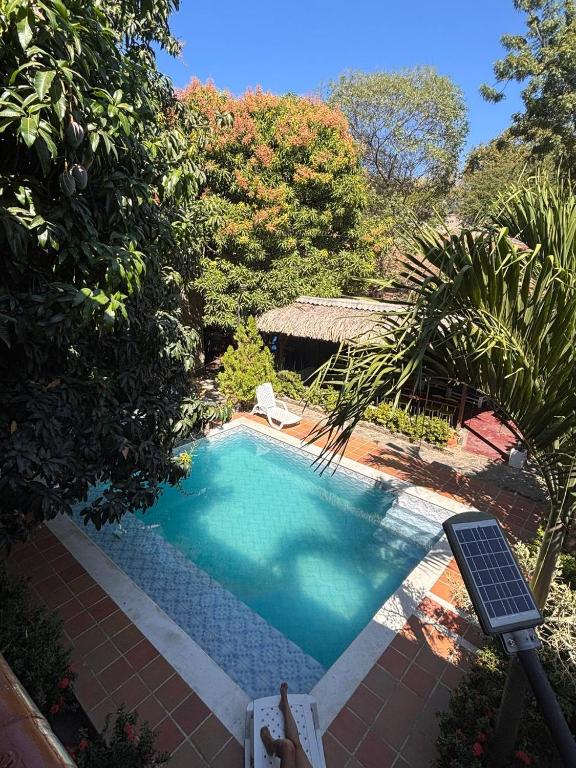 a swimming pool in the middle of a yard at Hostal Los Arhuacos in Santa Marta