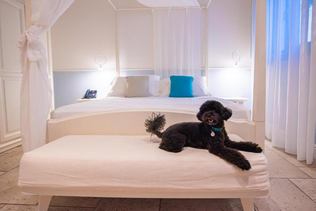 Marenea Suite Hotel - CDSHotels - Suite De Lujo