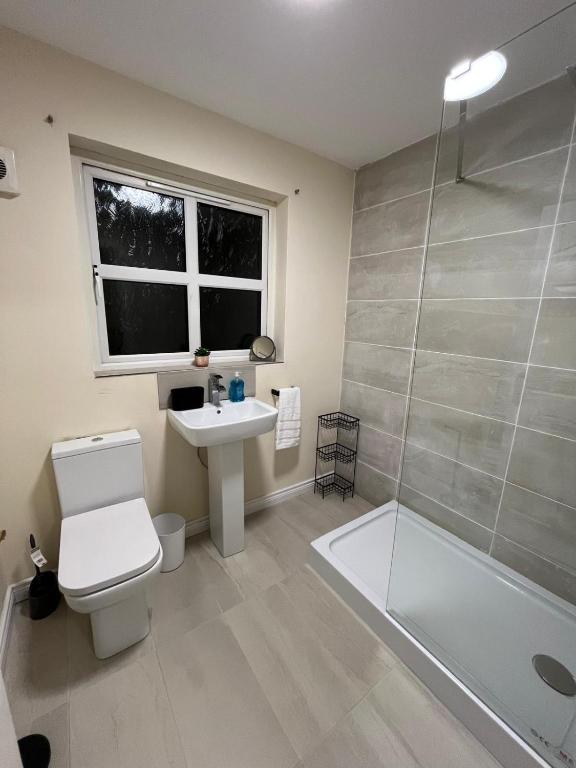 a bathroom with a toilet and a sink and a shower at Carriegart in Lurgan