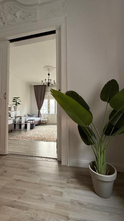a potted plant in a room with a living room at Das MONTI - Superior in Stendal