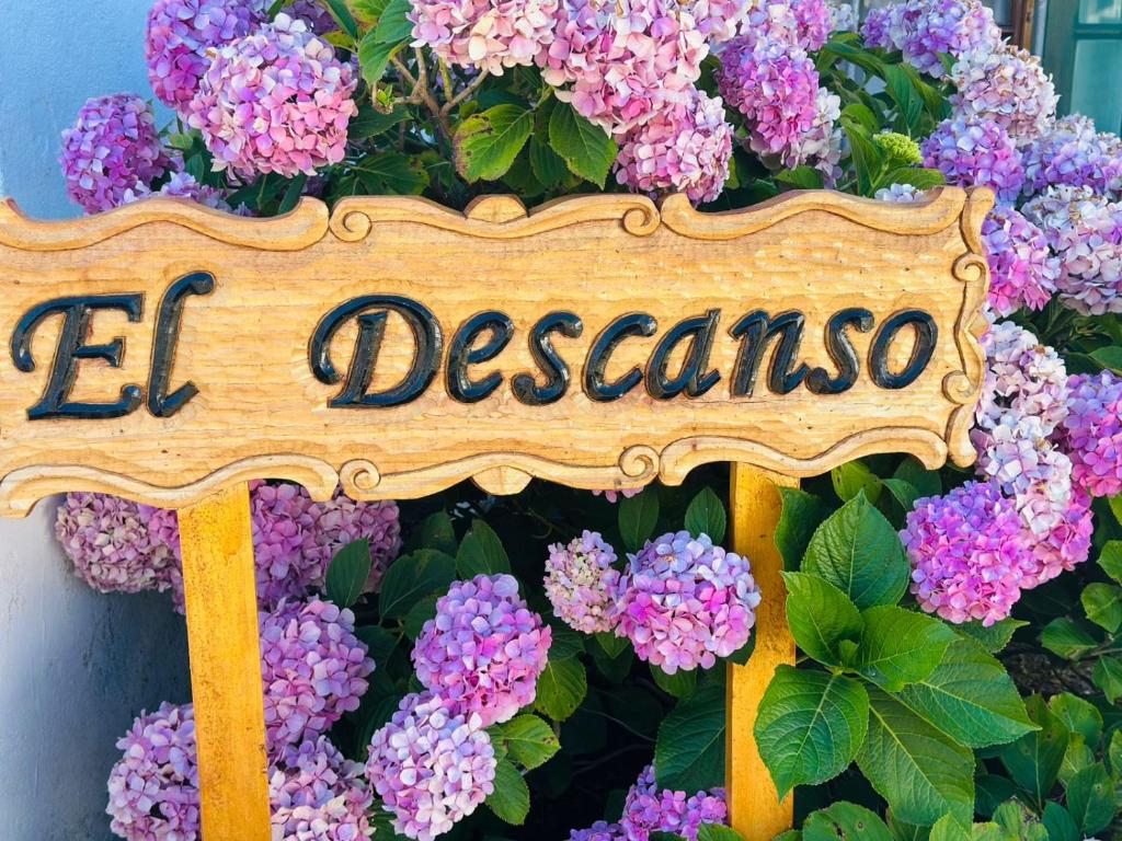 a sign that reads el descansos in front of purple flowers at El descanso in Las Toninas