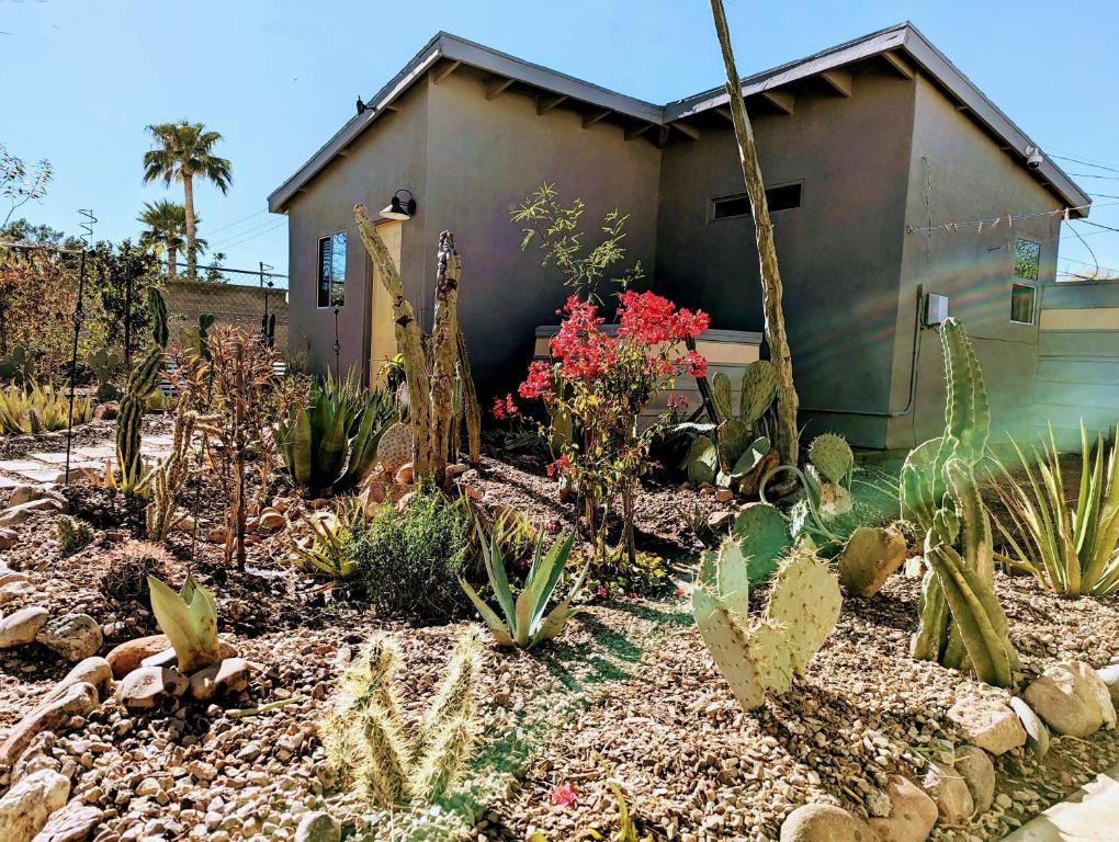a garden with cacti and plants in front of a house at Early Birds in Tucson