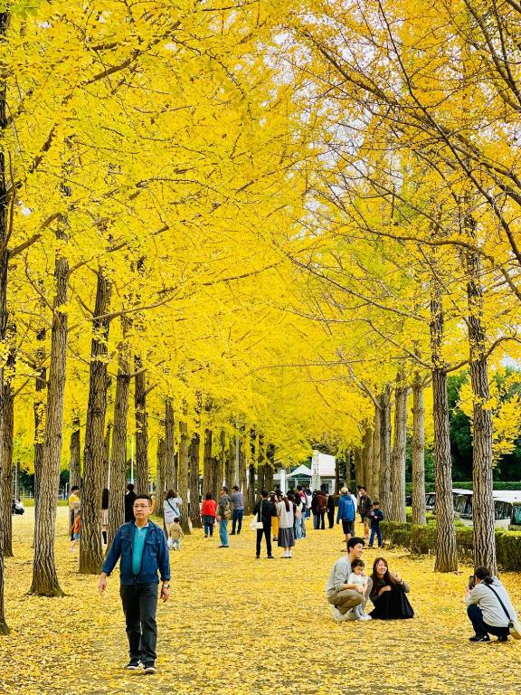 Alo BnB 15 - Near TABATA, IKEBUKURO, SHINJUKU, UENO