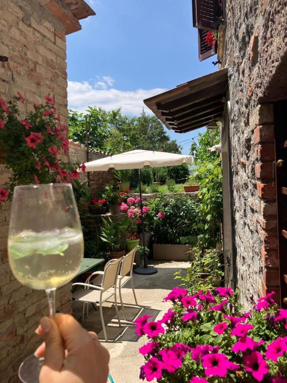 a person is holding a glass of wine at L' antico lavatoio in Radicofani