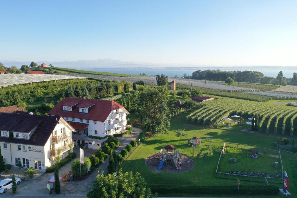 an aerial view of a house and a vineyard at Obst- und Ferienhof Gomeringer in Immenstaad am Bodensee