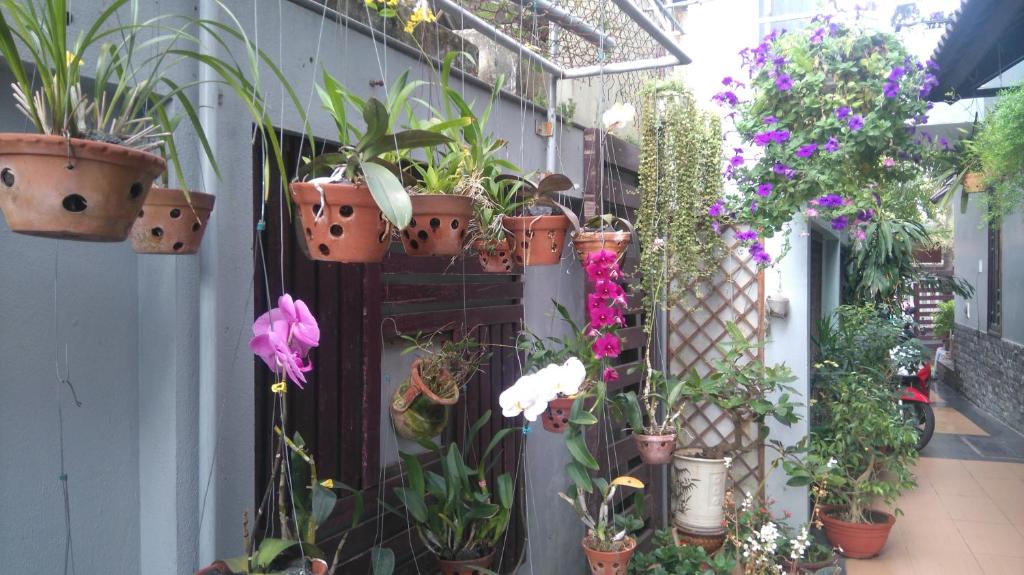 Zahrada ubytování Green CoCo HomeStay