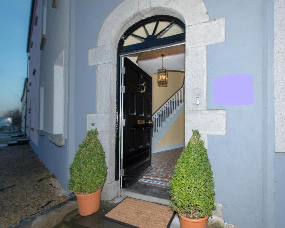 a blue building with two plants in front of a door at Keons Town House in Longford