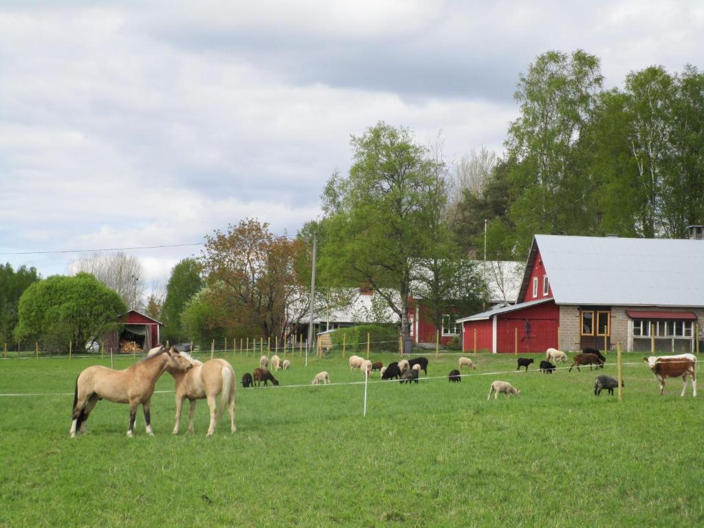 a herd of horses and sheep in a field with a red barn at Rantakorpi Farm in Niemisjärvi