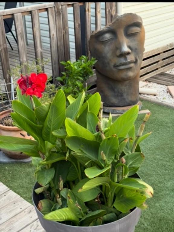 a statue sitting next to a plant and a flower at My Freedom in Hyères
