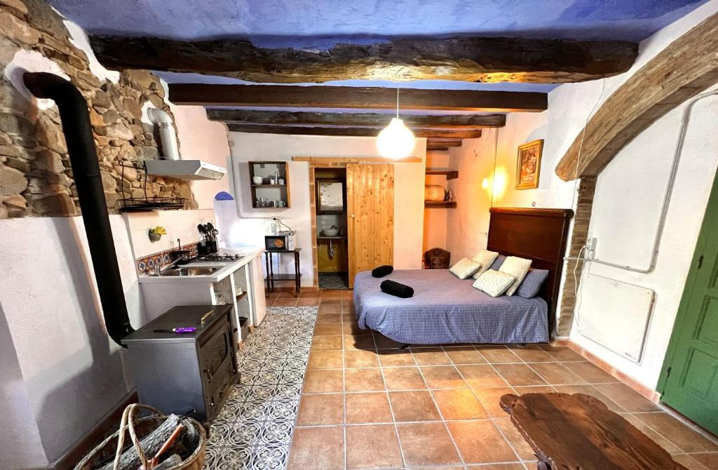 a bedroom with a bed and a sink in a room at Estudio en masía Can Mon in Anglés
