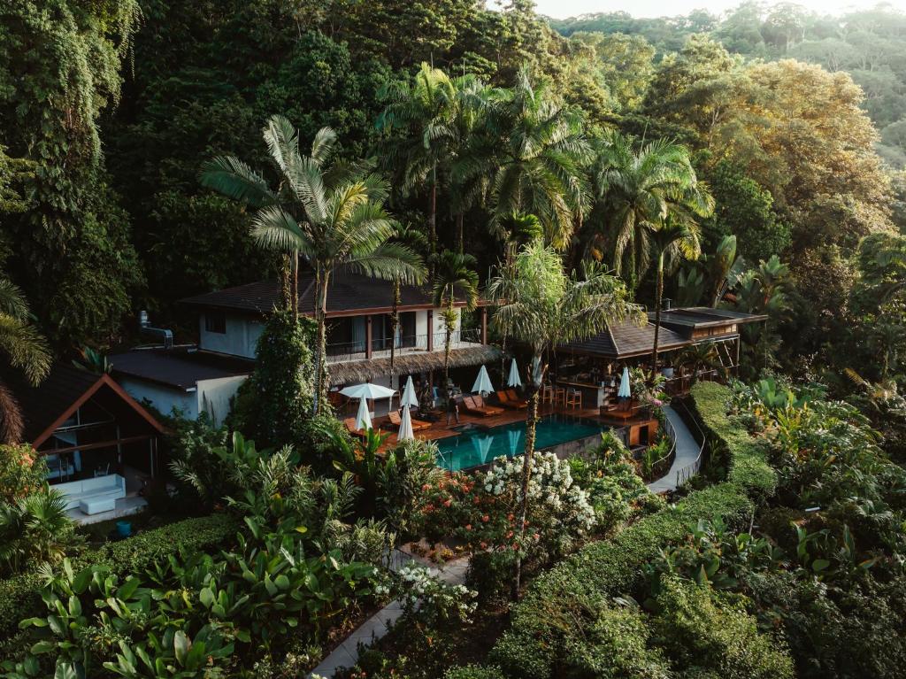 Oxygen Jungle Villas