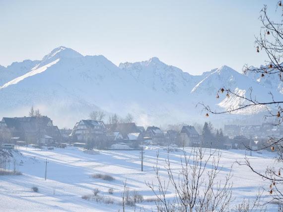 a snowy field with houses and mountains in the background at Rusiński Raj - Domki in Bukowina Tatrzańska