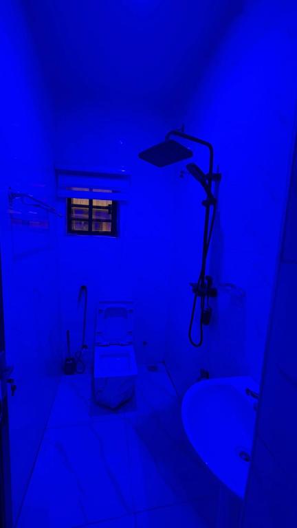 a blue room with a bathroom with a sink at ComfortHomes in Ahor