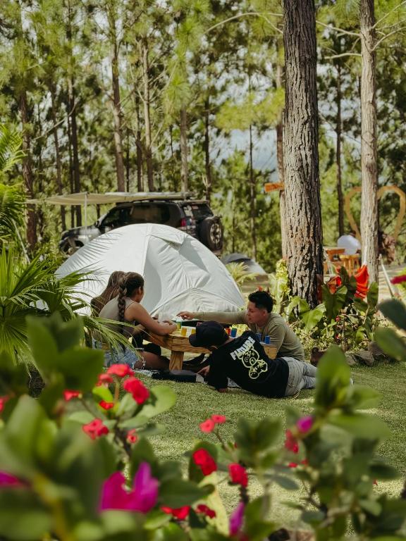 Camping- Sanagua Lodge