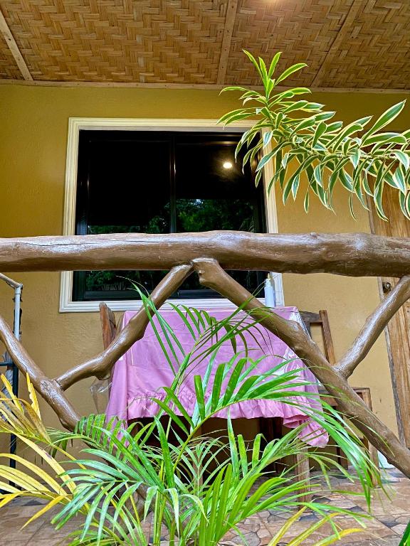 a window in a house with a plant in front of it at MIKI's Guest House in Siquijor