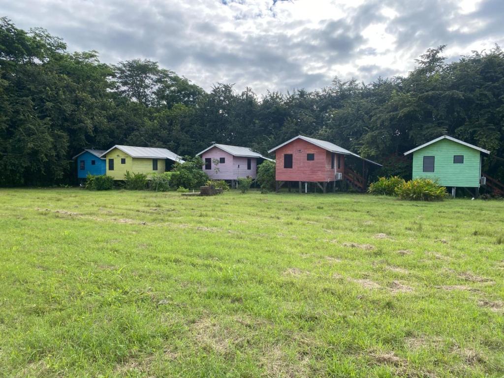 a group of colorful houses in a field at 4J's Cabins in Santa Familia