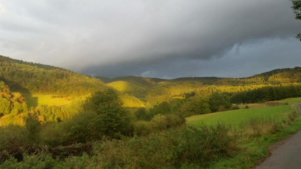 una strada tortuosa attraverso una valle con alberi e colline di Pension Mühlenhardt a Herschbroich