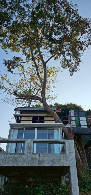 Phongtang Garden Homestay - Quadruple Room With Private Bathroom