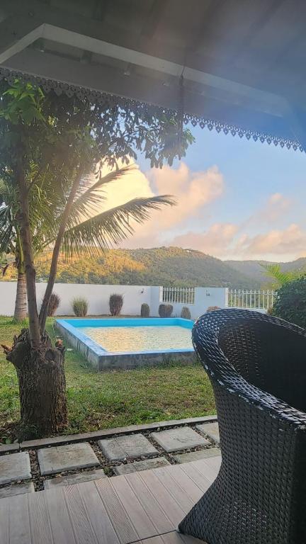 a swimming pool with a palm tree and a bench at Perle rare Lodge in Diamond Island