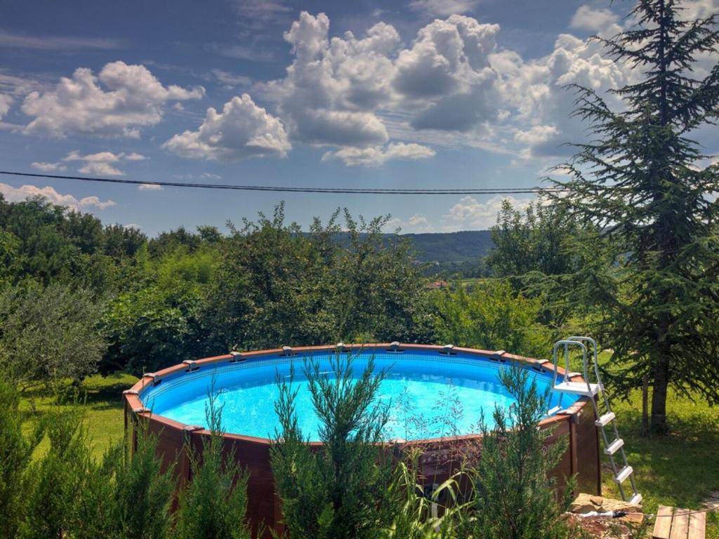 a large swimming pool in a yard with trees at Apartments Spirit of Istria in Truške