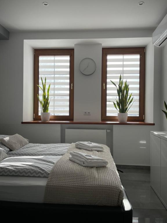 Apartamenty AP 11 - 8