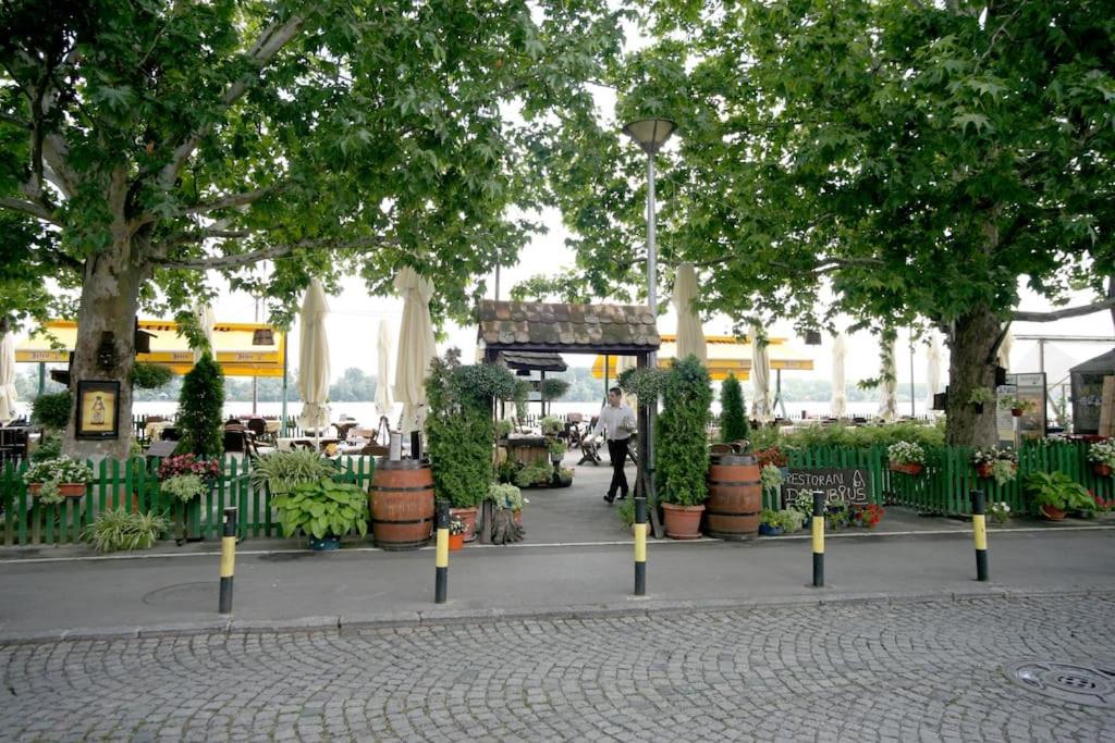 Zahrada ubytování Apartment Danubius