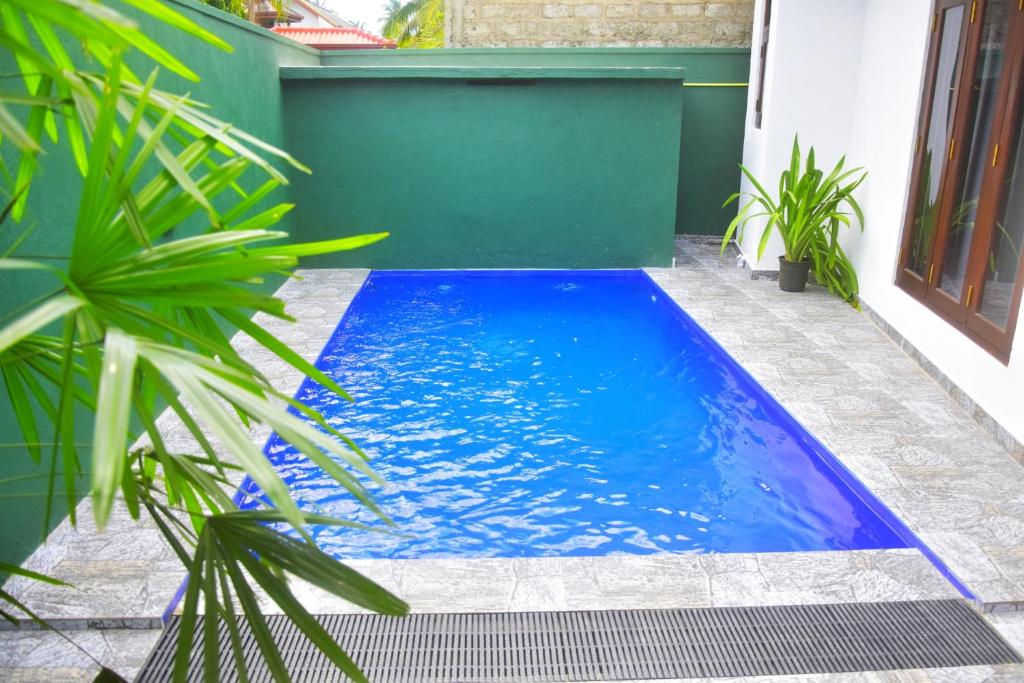 a blue swimming pool in a yard with plants at Ceylon Relax Villa in Aluthgama