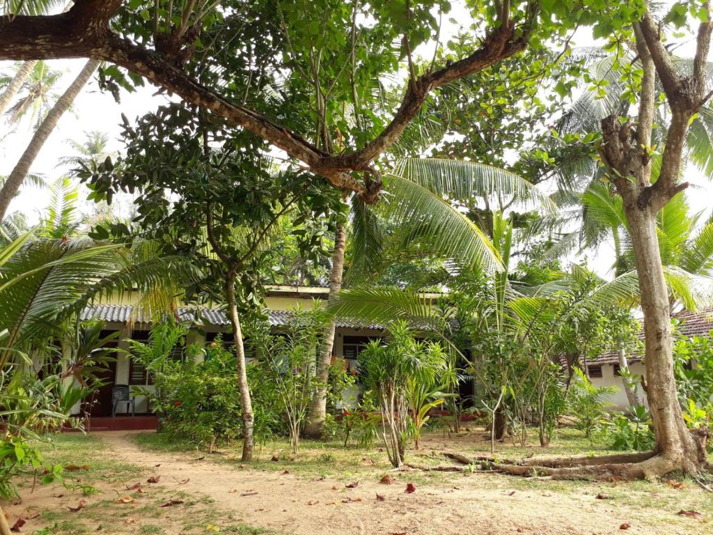 a house in the middle of a forest of trees at Hector's Place in Hikkaduwa