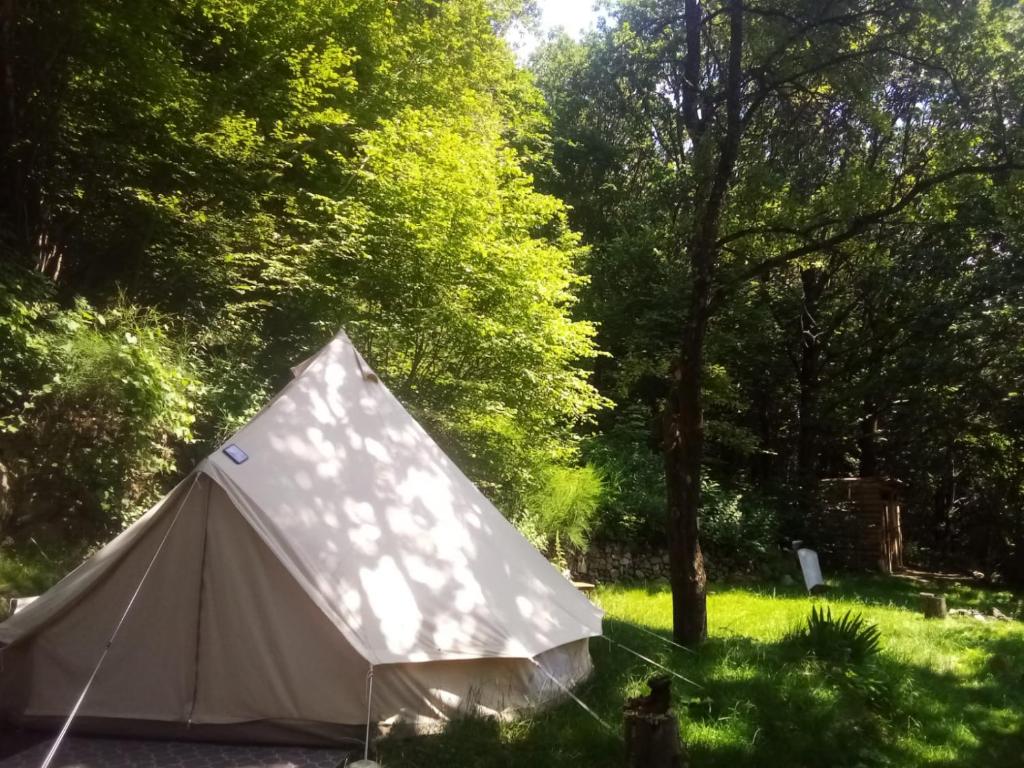 a white tent sitting in the grass near trees at Tente Tipi en plein cœur d'une forêt in Burzet