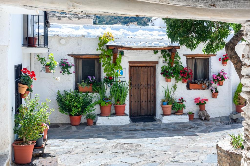 a building with potted plants in front of a door at El Gato Negro in Capileira