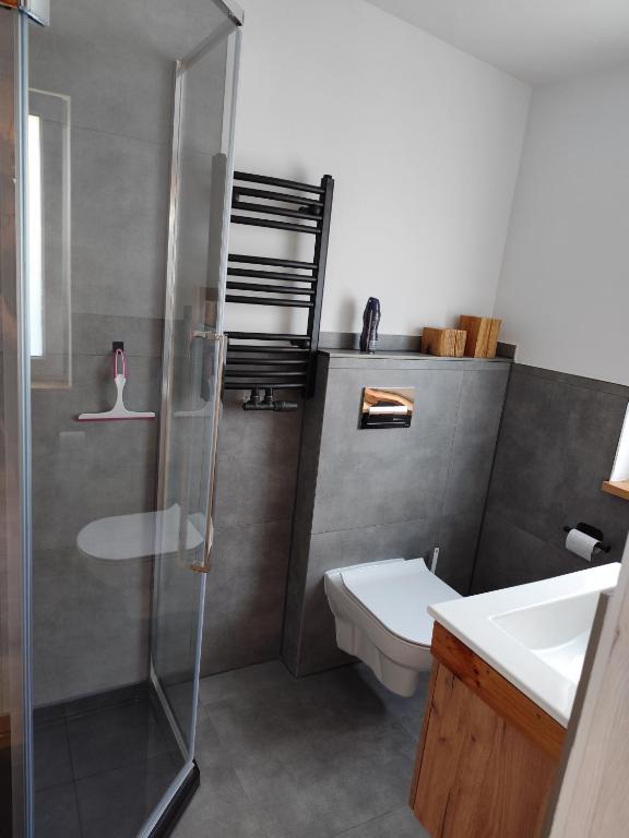 a bathroom with a shower and a toilet and a sink at Vintage House in Augustów