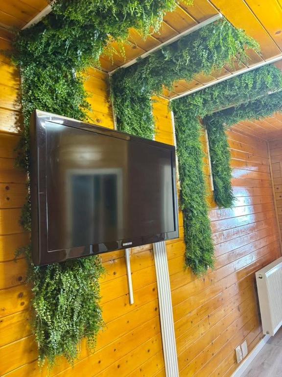 a flat screen tv hanging on a wall with plants at Rustic Baia Sprie in Baia-Sprie