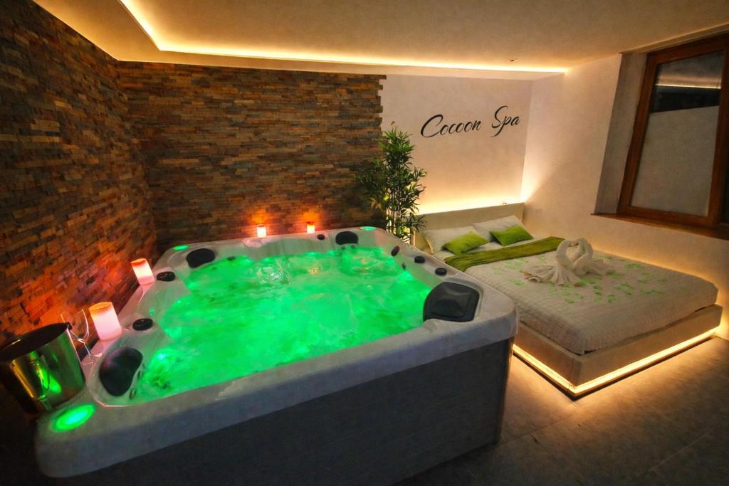 COCOON SPA-4 Pers-Jacuzzi-Parking-Jardin-Clim-Colmar - Housity