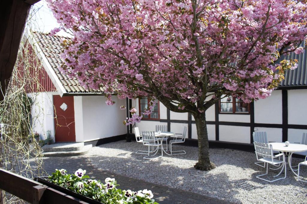 a flowering tree in a courtyard with tables and chairs at Landet Bed and Breakfast in Tomelilla