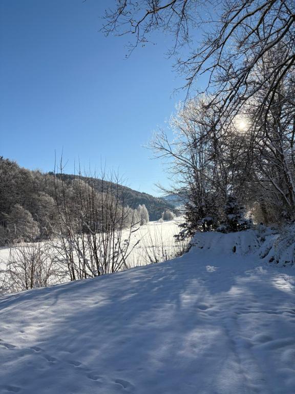 a snow covered road with trees and a field at Cormanns Hüttchen in Schmallenberg