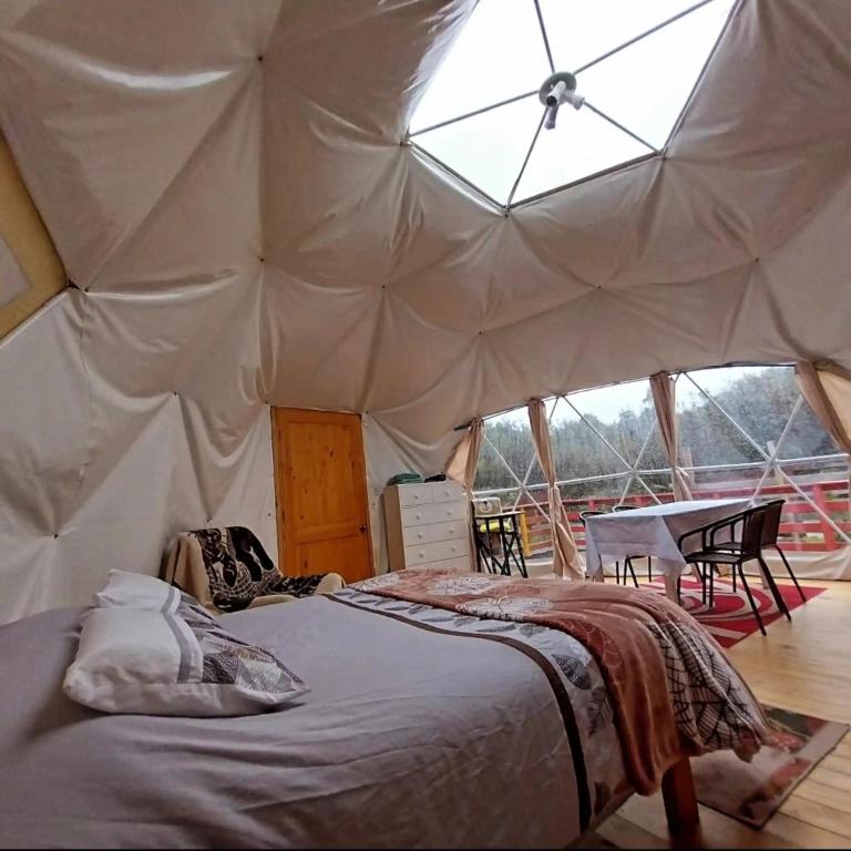 Glamping Domo