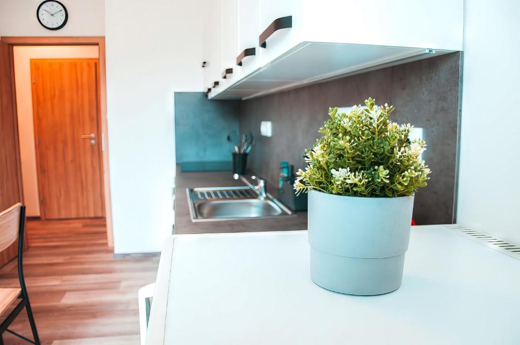 ZAROHEM 2 bedrooms APARTMENT in center with balcony - 16