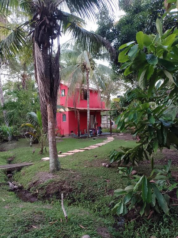 a red house with a palm tree in front of it at Bangalo O Galo in Itacaré