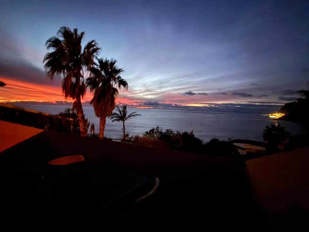 a sunset over the ocean with palm trees at Bela Vigia in Jardim do Mar