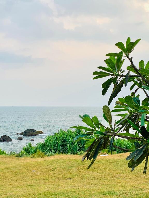 a view of the ocean from a field with trees at Villa Arcadia in Tangalle