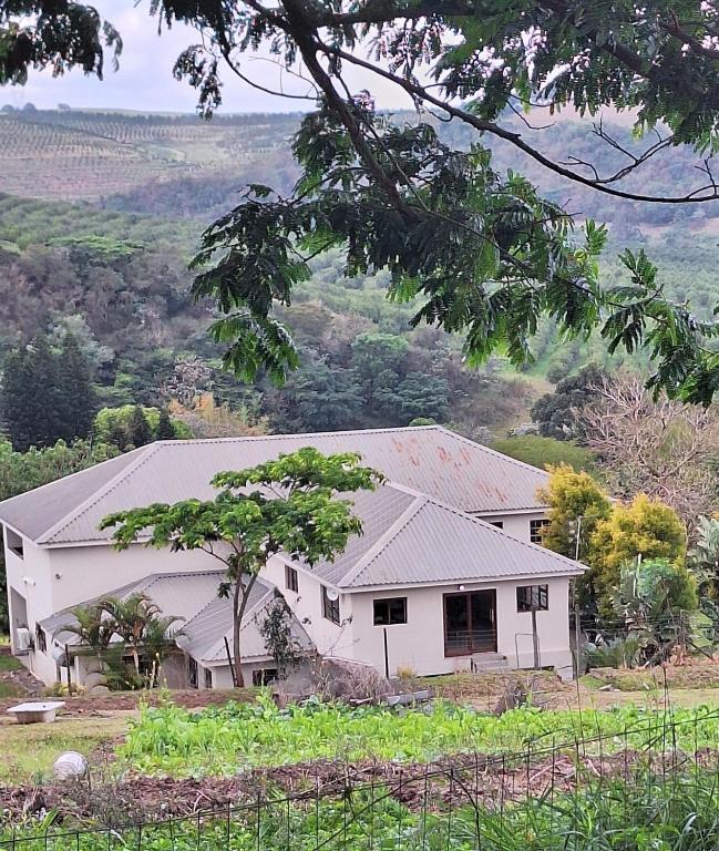 ein weißes Haus auf einem Hügel mit Aussicht in der Unterkunft Ibokwe homested in Hillandale