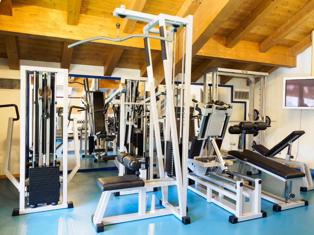 Fitness centrum a/nebo fitness zařízení v ubytování Park Hotel