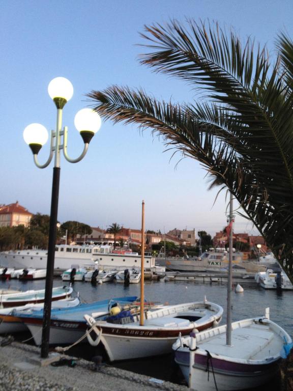 a group of boats docked in a harbor with a palm tree at studio coquet et tranquille in Porquerolles