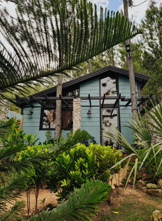 Cabañas en Sanagua Lodge