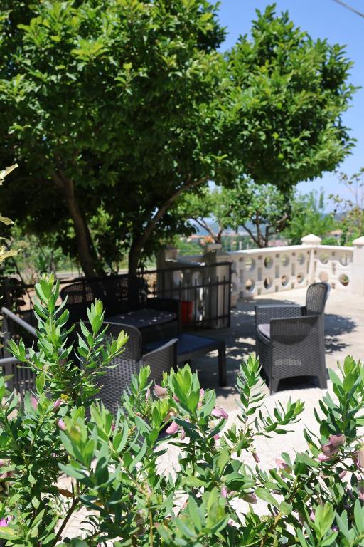 a group of chairs sitting on a patio under a tree at Al Giardino b&b in Acri