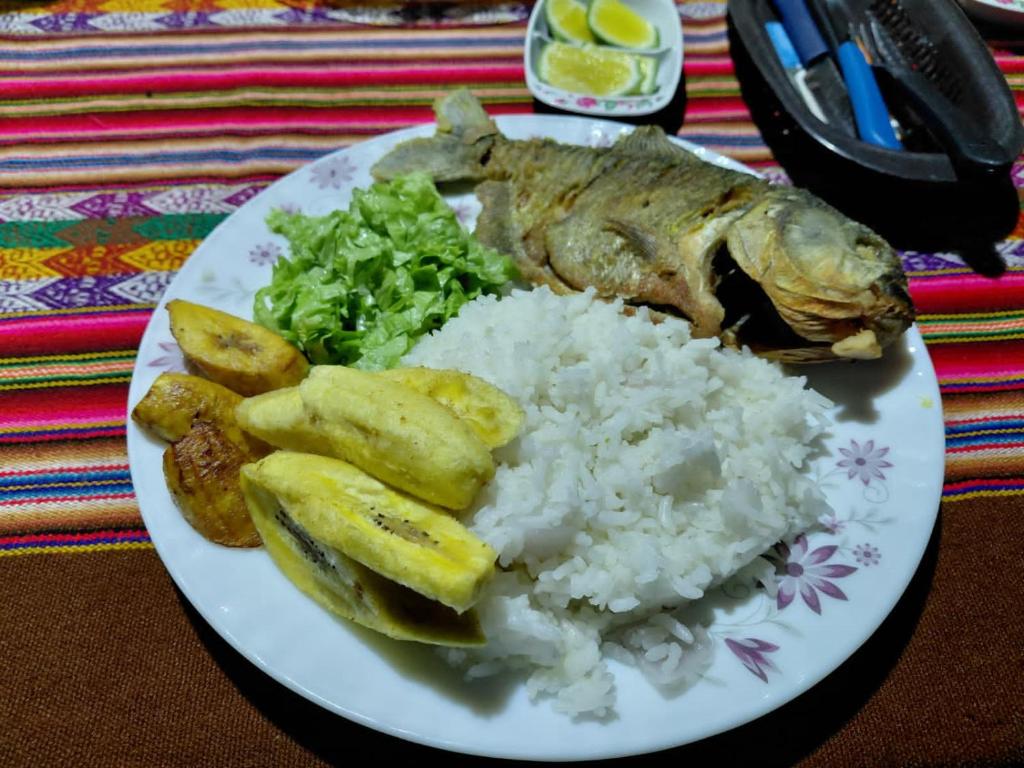 hospedaje Casa Jaguar